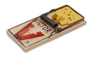 Piège à souris mécanique de type tapette