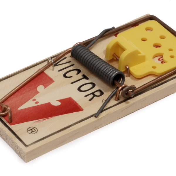 Piège à souris mécanique de type tapette