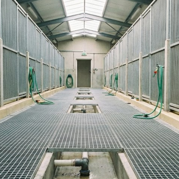 Espaces animaliers : comment choisir un sol plus sûr, plus propre et plus durable