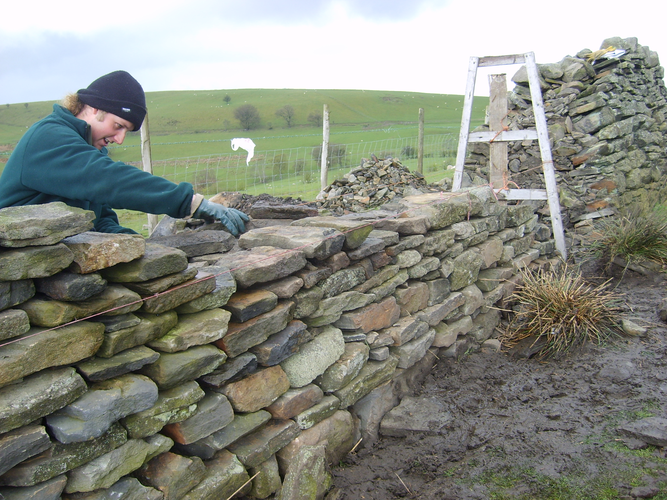 Construction d’un mur en pierre sèche sur terrain herbeux