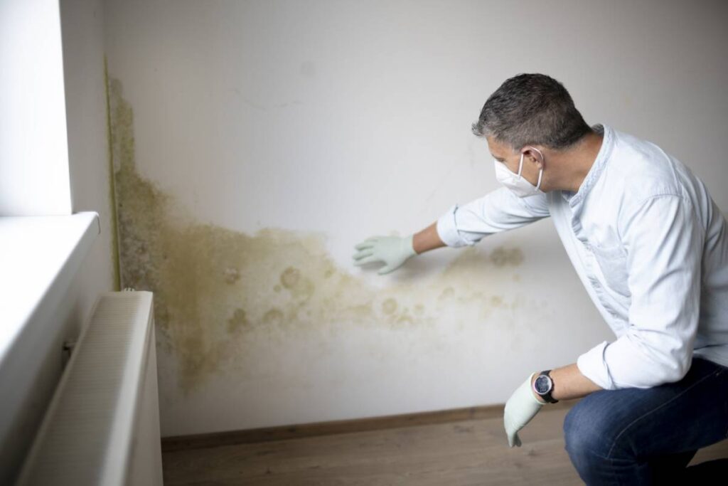 Humidité dans les murs